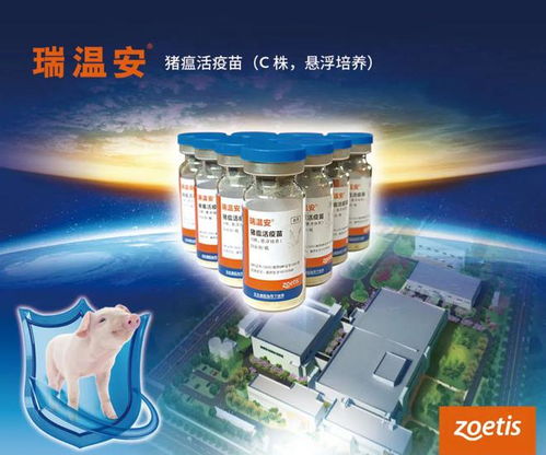 揭秘｜好疫苗是怎樣煉成的？探訪投資2.1億美元建設的碩騰蘇州工廠